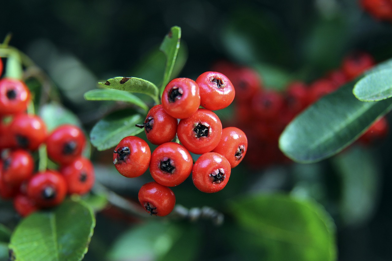 这并不是广 这并不是广