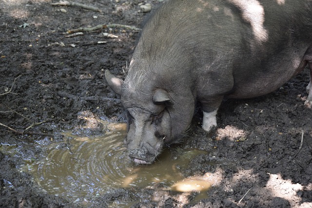 業足球精神 業足球精神